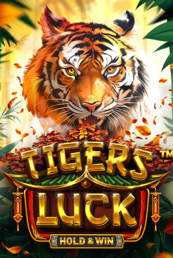 Демо игра Tiger's Luck - Hold & Win играть онлайн | CasinoX бесплатно